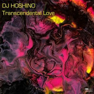 DJ Hoshino - Transcendental Love  LP LP